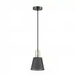 Подвес Lumion Marcus 3638/1 E14 60 Вт