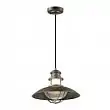 Уличный светильник-подвес IP23 Odeon Light Dante 4164/1 E27 60 Вт