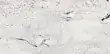 Керамогранит Gracia Ceramica Inverno white 01 30х60