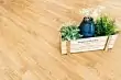 Виниловый пол (кварцвиниловая плитка ПВХ) Alpine Floor Sequoia Секвойя Royal Есо 6-4