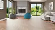 Каменно-полимерная плитка Alpine Floor Parquet Premium ABA Дуб Royal ECO 19-2