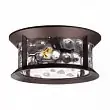 Ландшафтный потолочный светильник Odeon Light Mavret 4961/2C E27 2*60W