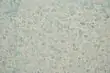 Жидкие обои Silk Plaster Рельеф G-321 (3 кв.м.)
