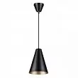 Подвес Lumion Brooks 5226/1 40W черный, матовое золото