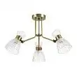 Люстра потолочная Lumion Jackie 3704/3C E14 120 Вт
