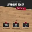 Ламинат Egger Classic Pro 10/33 Дуб Дикий натуральный EPL182