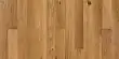 Паркетная доска Focus Floor однополосная Дуб Полар матовый лак,фаски (Oak Prestige 138 Zonda Matt) (2,2 м2)