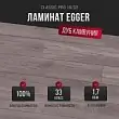 Ламинат Egger Classic Pro 10/33 Дуб Камвуния серый EPL221