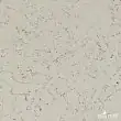 Пробковое настенное покрытие IberCork 600х300 мм/1,98 м2 Тенерифе Бланко