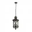Уличный светильник-подвес Odeon Light Sation 4045/3 E14 180 Вт