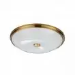 Настенно-потолочный светильник Odeon Light Pelow 4956/5 E14 5*40W