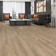 Ламинат Alpine Floor Premium Дуб Кашемир P 1001