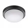 Светильник ландшафтный светодиодный настенно-потолочного монтажа Novotech Opal 358015 LED 12 Вт