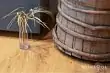 Виниловый ламинат Vinilam SPC VinilPol 7896-EIR Дуб Флоренция